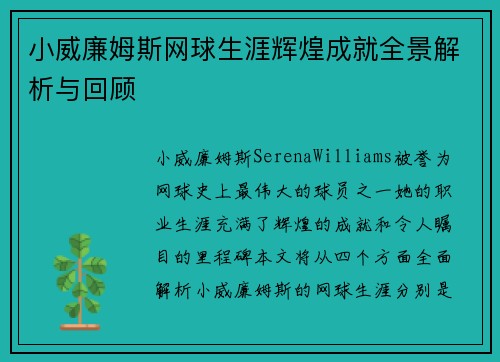 小威廉姆斯网球生涯辉煌成就全景解析与回顾