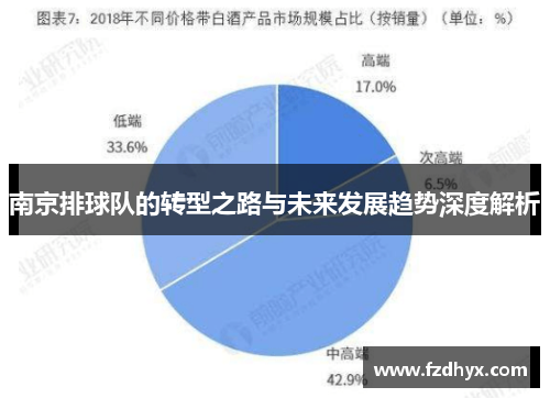 南京排球队的转型之路与未来发展趋势深度解析