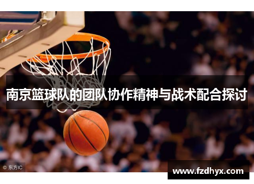 南京篮球队的团队协作精神与战术配合探讨