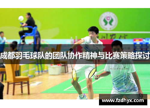 成都羽毛球队的团队协作精神与比赛策略探讨