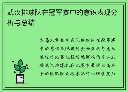 武汉排球队在冠军赛中的意识表现分析与总结